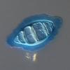 Luttrellia guttulata - Sheath