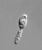 Zopfiella lundqvistii - additional image