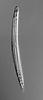Ophioceras venezuelense - additional image
