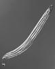 Ophioceras tenuisporum - additional image