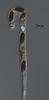 Hyalorostratum  brunneisporum  - additional image