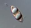 Magnisphaera stevemossago - additional image