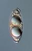 Magnisphaera stevemossago - additional image
