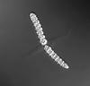 Isthmosporella pulchra - additional image