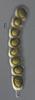 Lockerbia striata - Ascus
