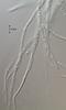 Submersisphaeria aquatica - Hamathecium