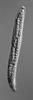 Pseudohalonectria adversaria - additional image