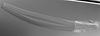 Macrospora scirpicola - additional image