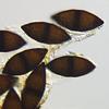 Megalohypha aqua-dulces - Ascospore